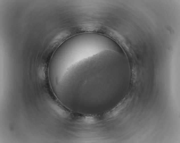 X0000110710114200906121402