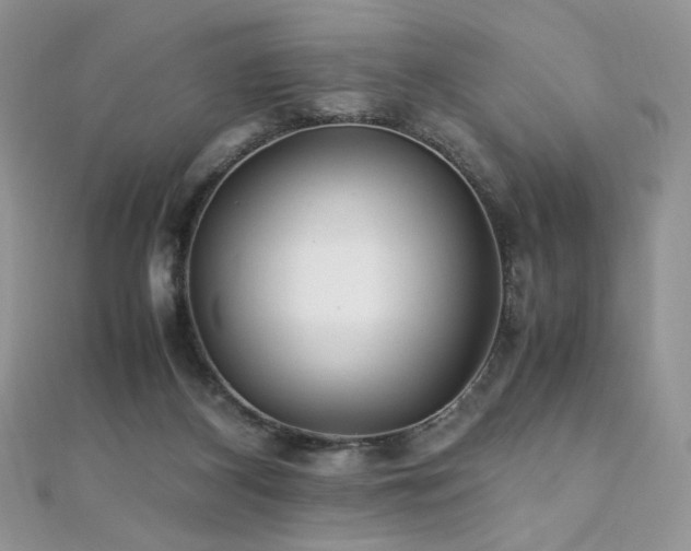X0000110710116200906121402