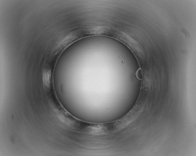 X0000110710118200906121402