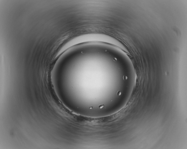 X0000110710120200906121402