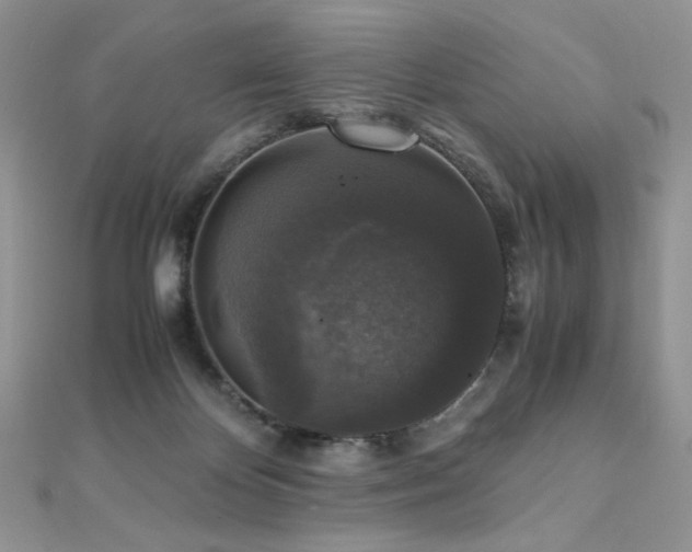X0000110710124200906121402