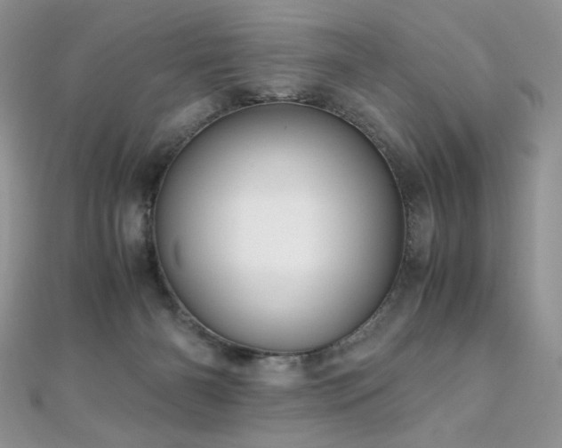 X0000110710126200906121402