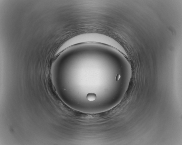 X0000110710129200906121402