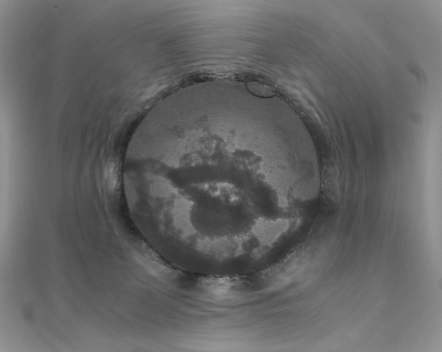 X0000110710131200906121402