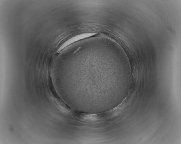 X0000110710132200906121402
