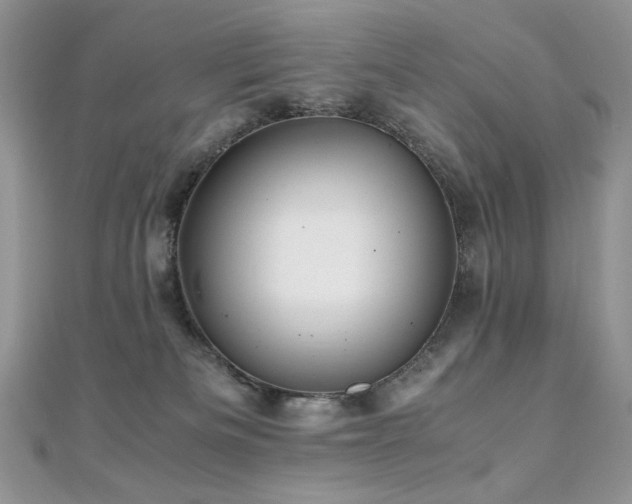 X0000110710133200906121402