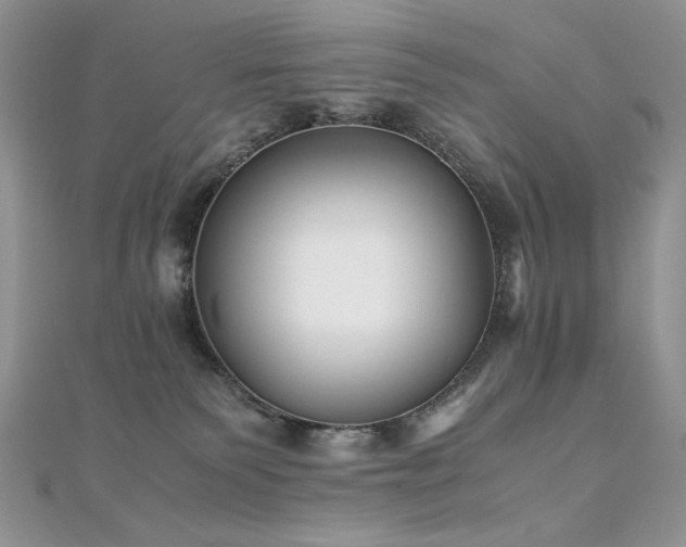 X0000110710135200906121402