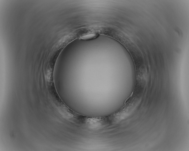 X0000110710139200906121402