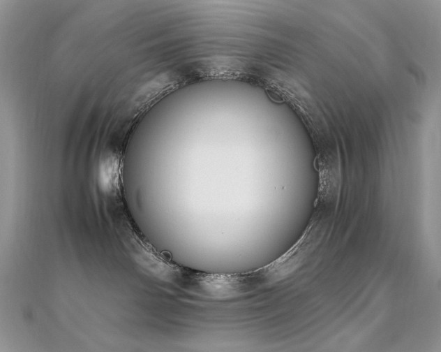 X0000110710142200906121402