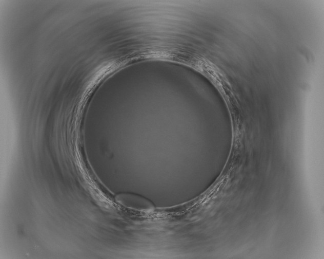 X0000110710145200906121401