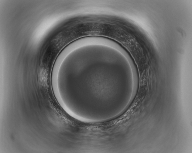 X0000110710146200906121401