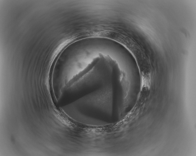 X0000110710147200906121401