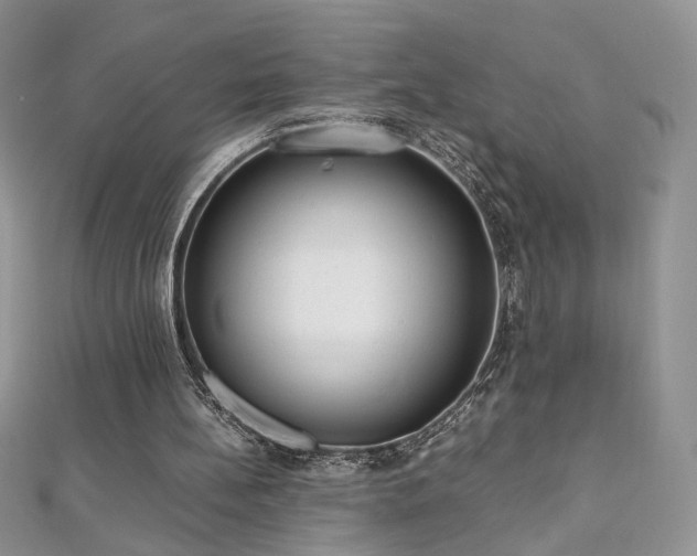 X0000110710148200906121401