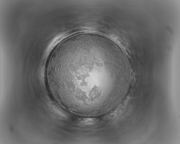 X0000110710151200906121402