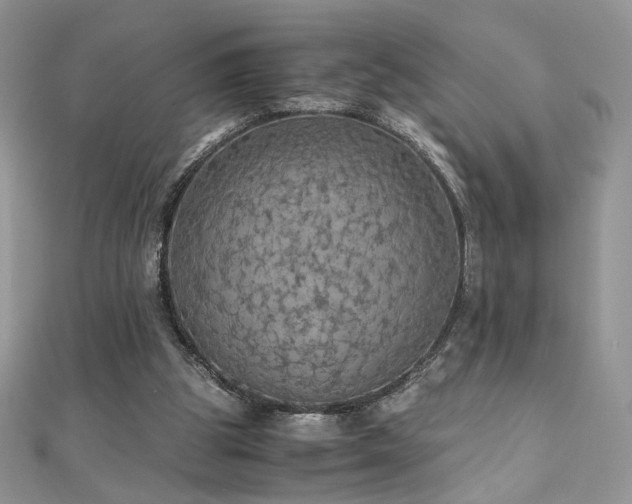 X0000110710153200906121402