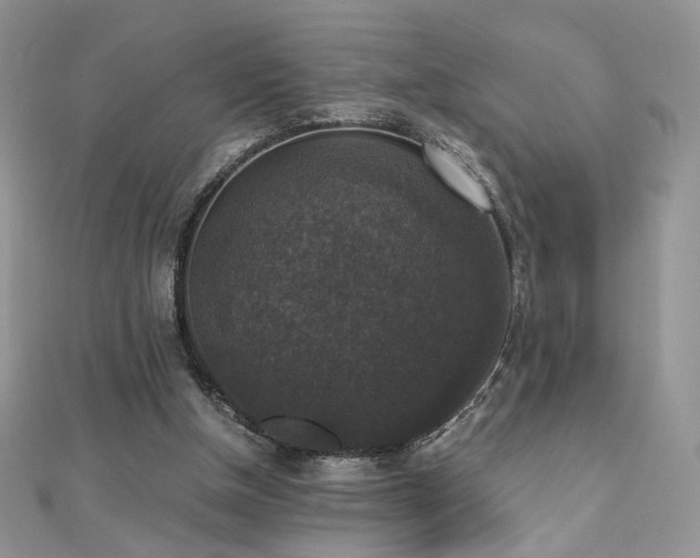 X0000110710154200906121402