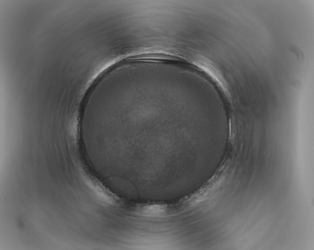 X0000110710156200906121402