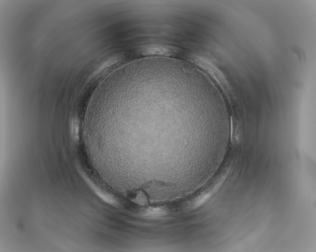 X0000110710157200906121402