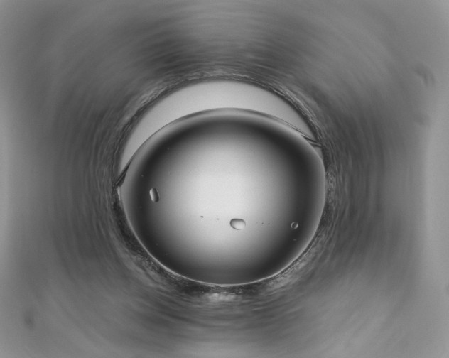 X0000110710158200906121402