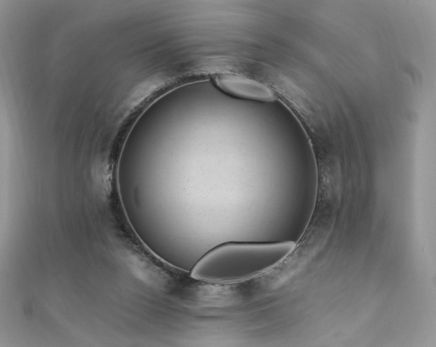 X0000110710160200906121402