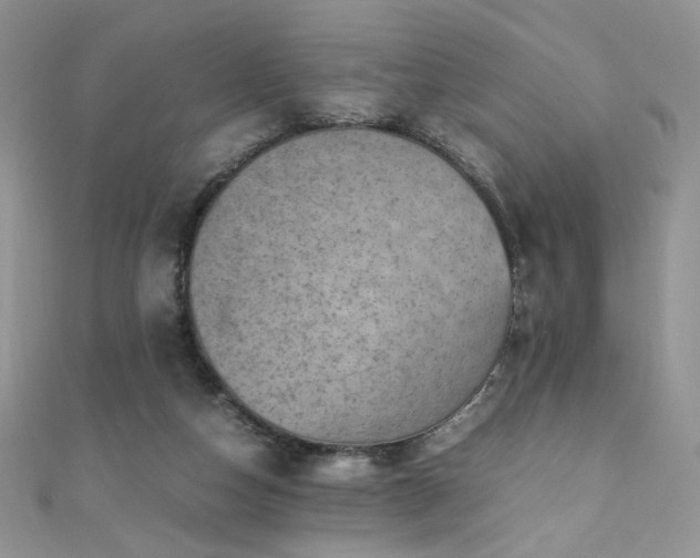 X0000110710162200906121402