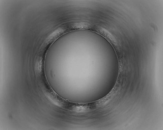 X0000110710163200906121402