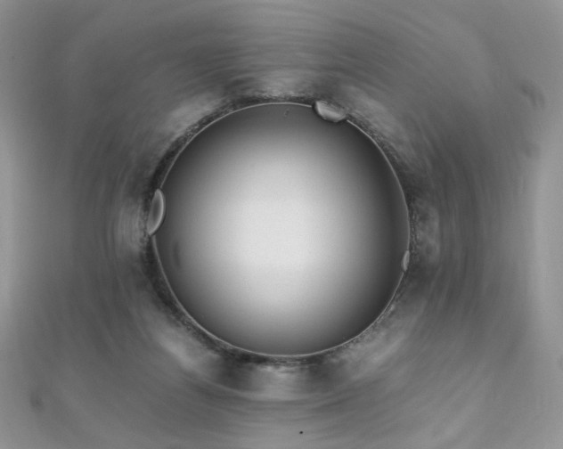 X0000110710164200906121402