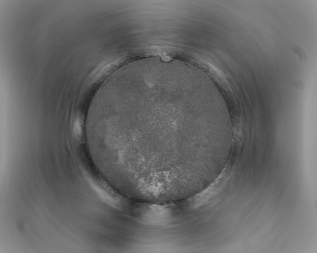 X0000110710166200906121402