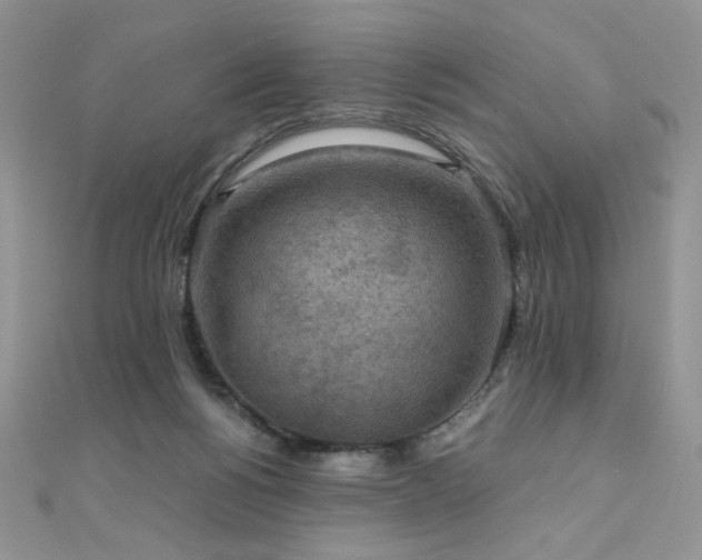 X0000110710168200906121402