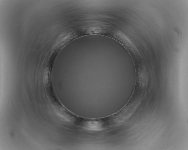 X0000110710169200906121402