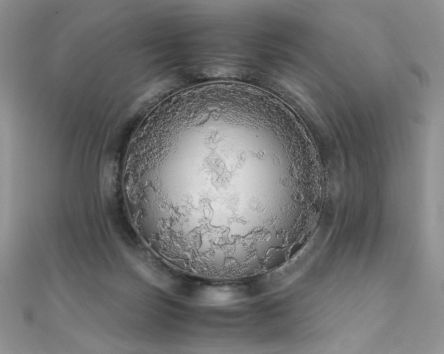 X0000110710171200906121402
