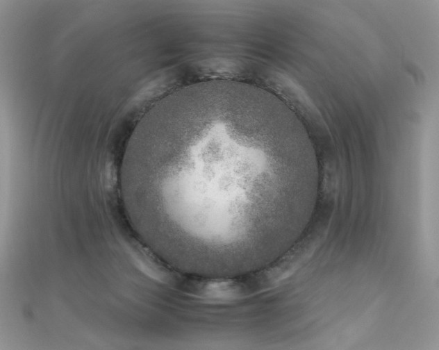 X0000110710173200906121402