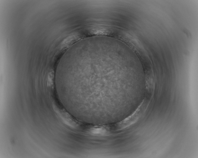 X0000110710175200906121402