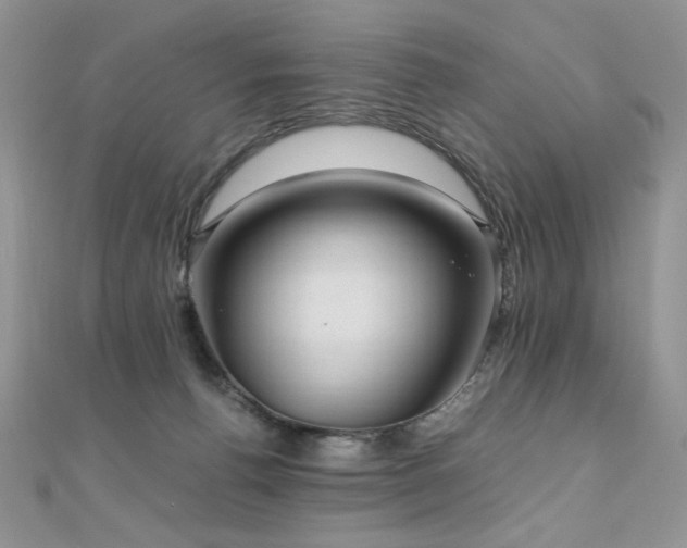 X0000110710176200906121402
