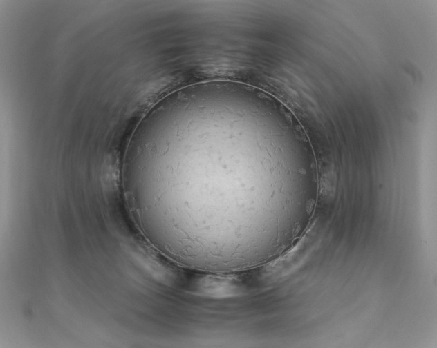X0000110710179200906121402