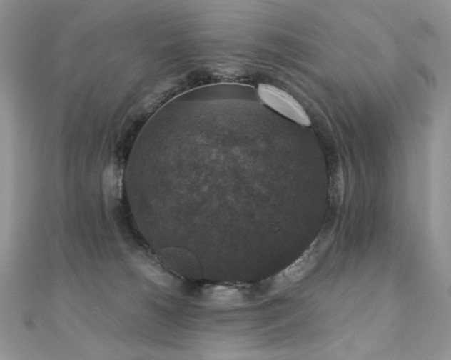 X0000110710180200906121402