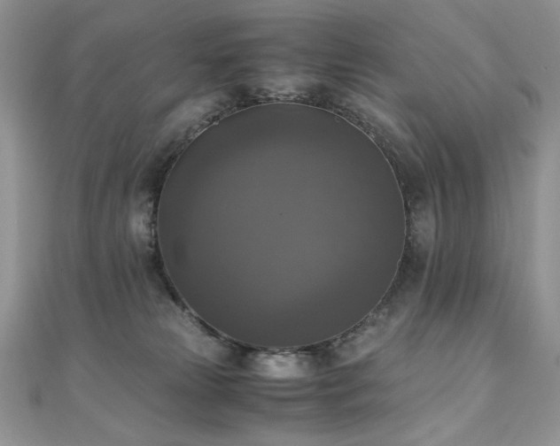 X0000110710181200906121402