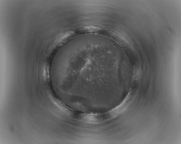 X0000110710182200906121402