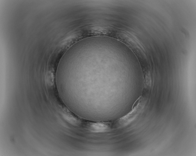 X0000110710183200906121402