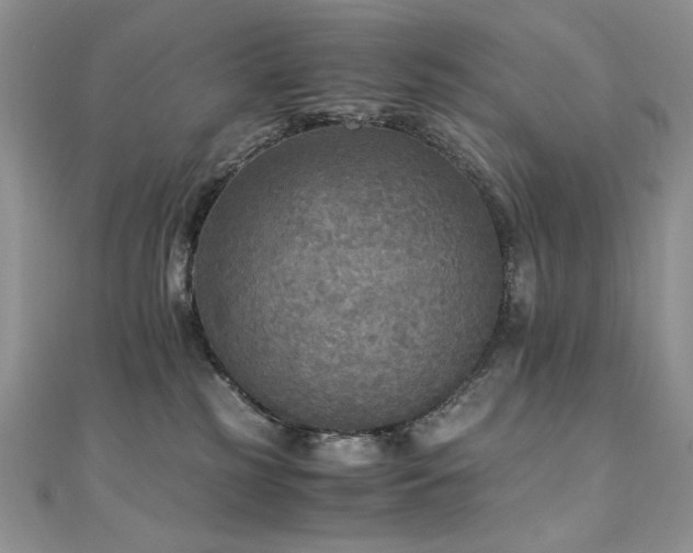 X0000110710185200906121402