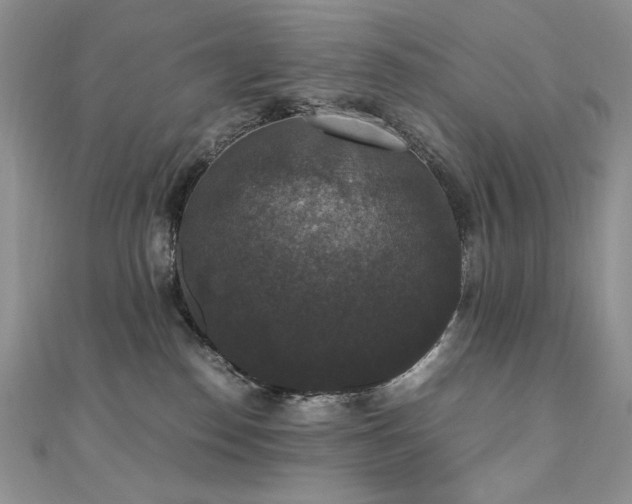X0000110710186200906121402
