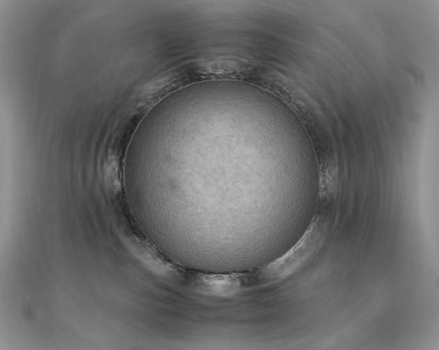 X0000110710187200906121402