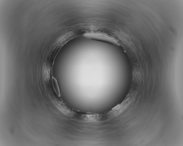 X0000110710188200906121402