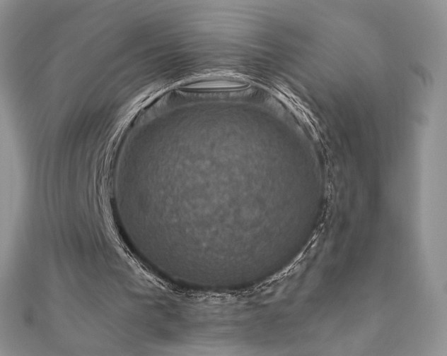X0000110710193200906121401