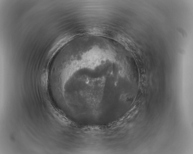 X0000110710194200906121401