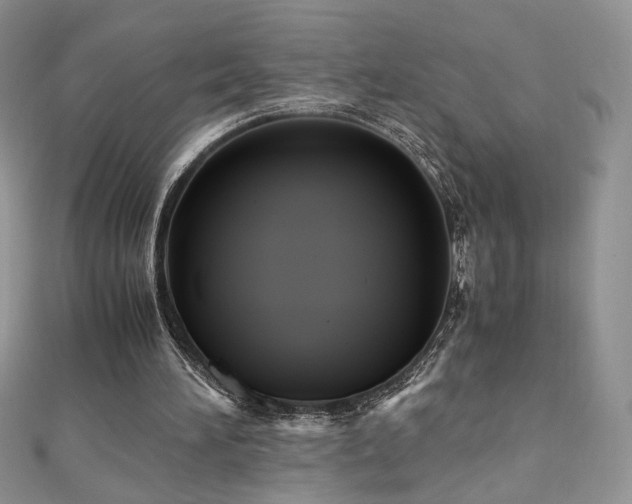 X0000110710196200906121401