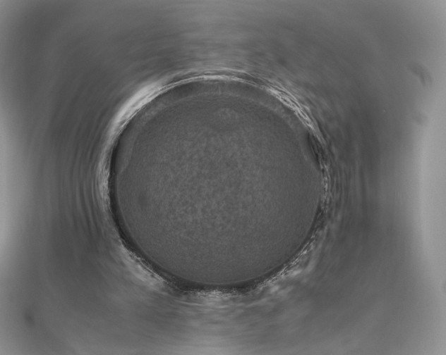 X0000110710197200906121401