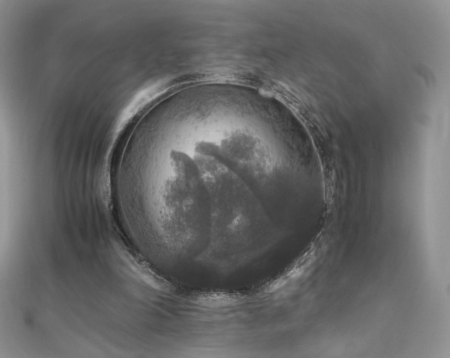 X0000110710198200906121401