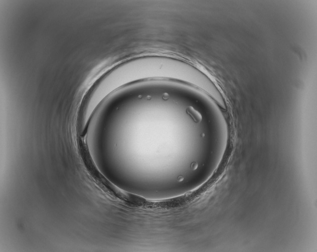 X0000110710199200906121401