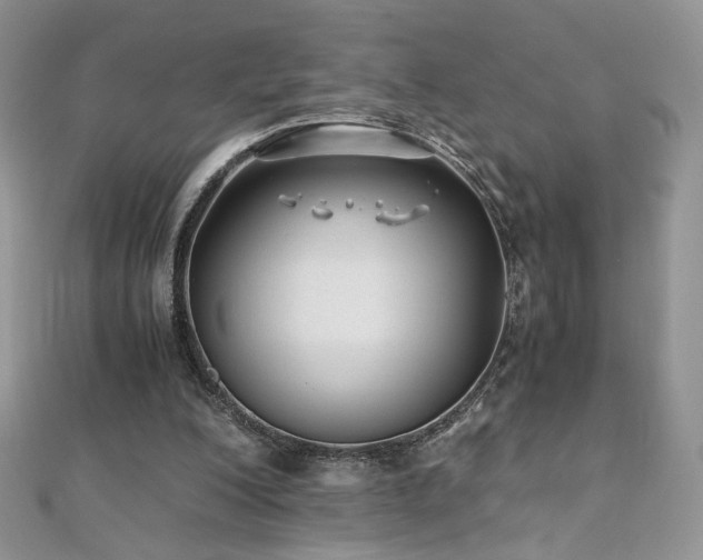 X0000110710200200906121401